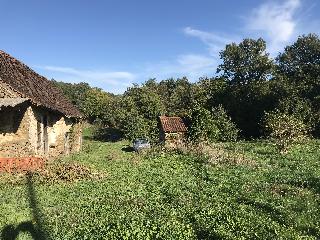 img_9888.jpg
