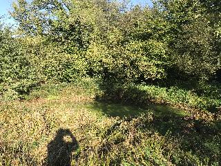 img_9928.jpg