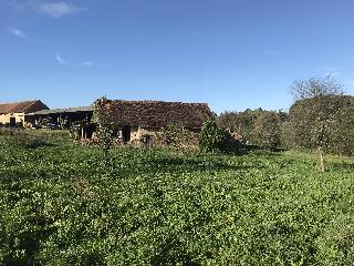 img_9931.jpg