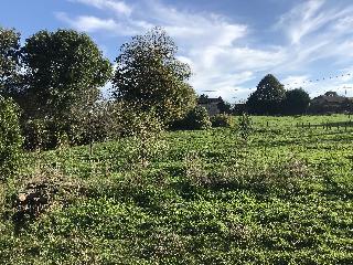 img_9947.jpg