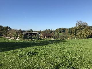 img_9961.jpg