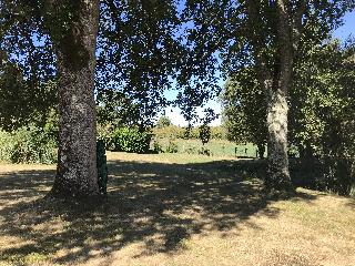 img_9529.jpg