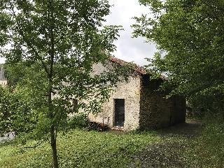 img_3805.jpg