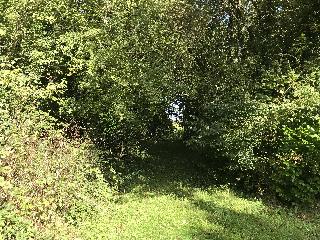 img_5203.jpg