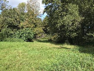 img_5210.jpg