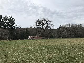 img_6146.jpg