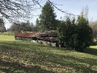 img_6186.jpg