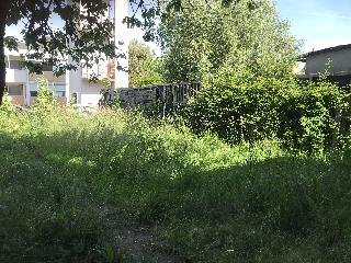 img_6957.jpg