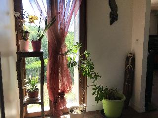 img_7043.jpg
