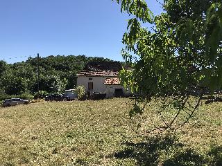 img_7121.jpg