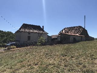 img_7124.jpg