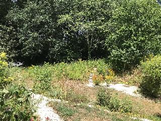 img_7254.jpg